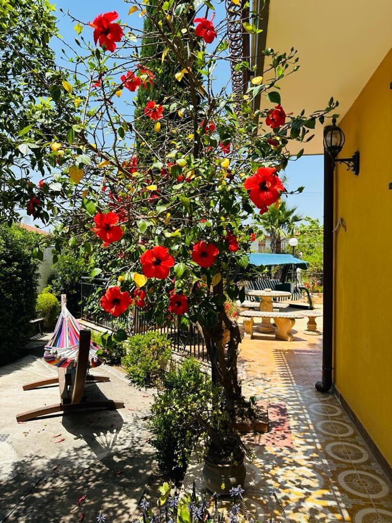 Villa Sicels - Agnone Beach - Syracuse Agnone Bagni Exterior foto